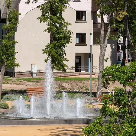 Aidaras Паланга