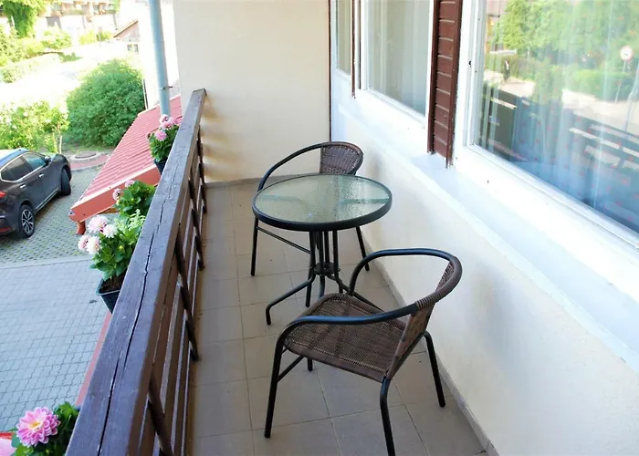 Aidaras Паланга