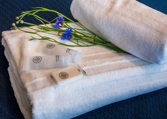 Aidaras Гостьовий будинок 3*